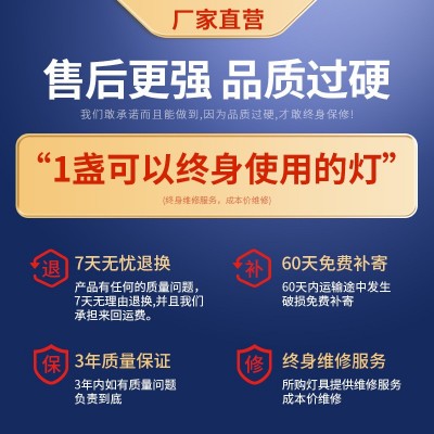 北欧客厅吊灯 简约圆圈餐厅灯创意大气卧室吊灯 极简餐桌灯具批发图3