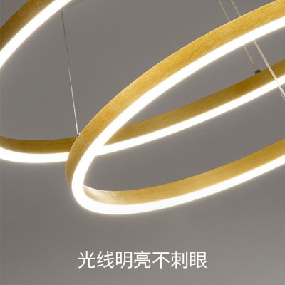 北欧客厅吊灯 简约圆圈餐厅灯创意大气卧室吊灯 极简餐桌灯具批发图4