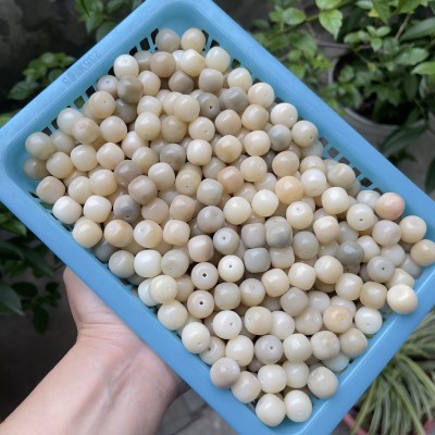 黄奶咖花皮多宝色菩提根散珠批发直播货源缅甸老料磨砂干磨高抛籽 300颗图3