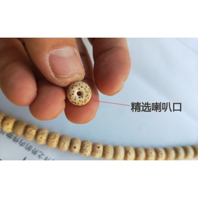 星月菩提108颗年份高抛自然金黄陈籽 高密 正月 海南元宝籽 2个图4